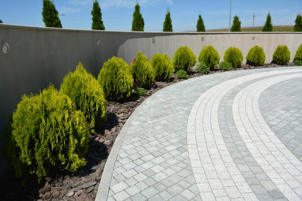 Best Driveway Pavers Near Me  in Kingman, AZ